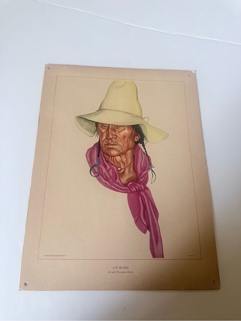 Vintage Natuve American print
